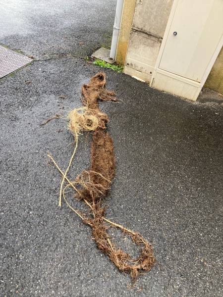 Débouchage de canalisation, écoulement difficile à cause de racines dans une copropriété à Dax dans les Landes
